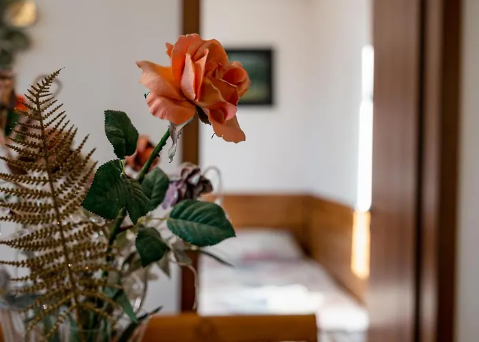 Appartement Thermae 2bdrm Sunny *